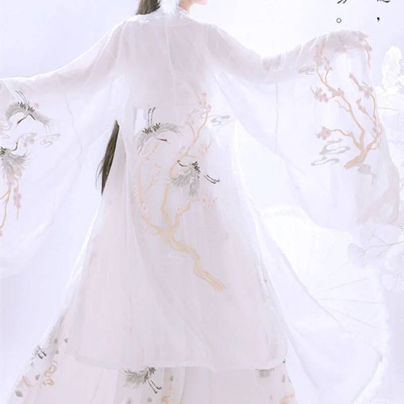 Hanfu chinois ancien pour femm - Embroidery Skirt avis et prix