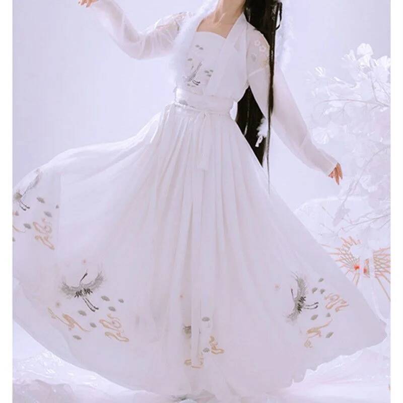 Hanfu chinois ancien pour femm - Embroidery Skirt avis et prix
