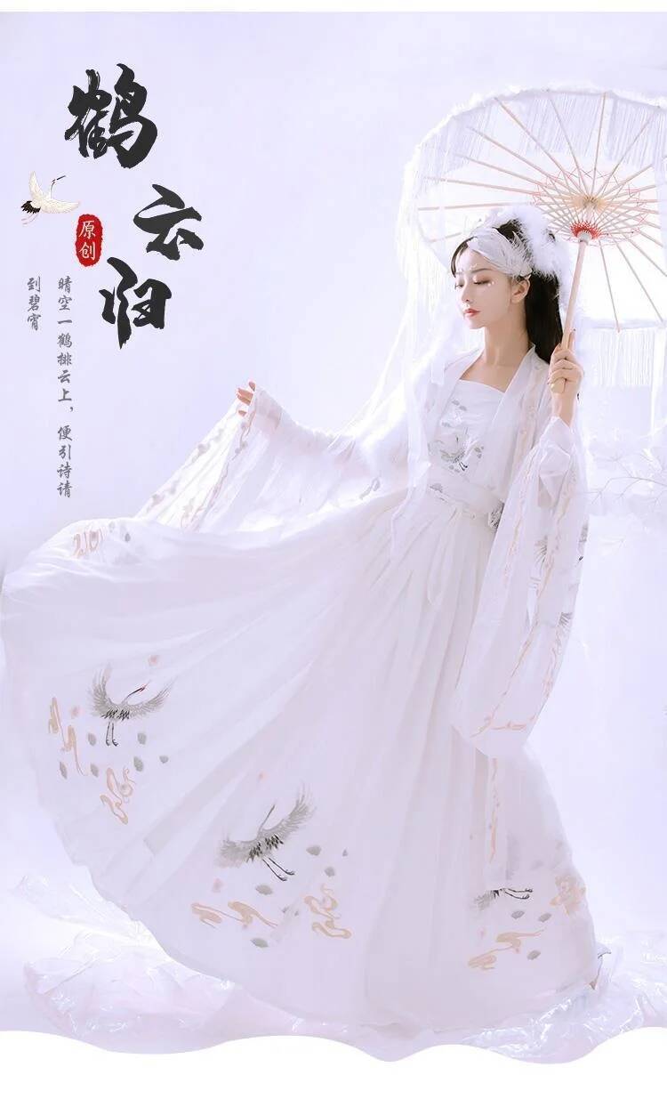 Hanfu chinois ancien pour femm - Embroidery Skirt avis et prix