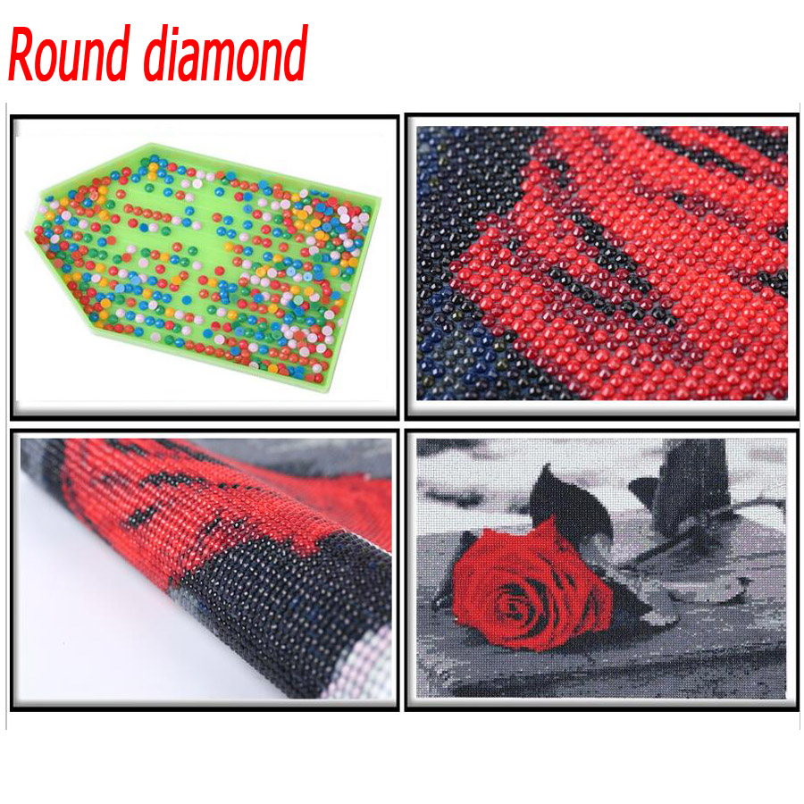 5D DIY Diamond Painting Aole W - Embroidery Bali avis et prix