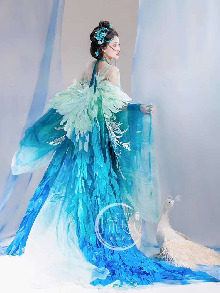 Nouveau paon Hanfu femmes mode - Embroidery Skirt avis et prix
